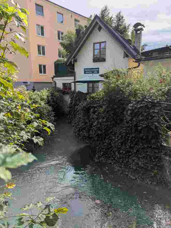 Ein Kleinod mitten in der Stadt