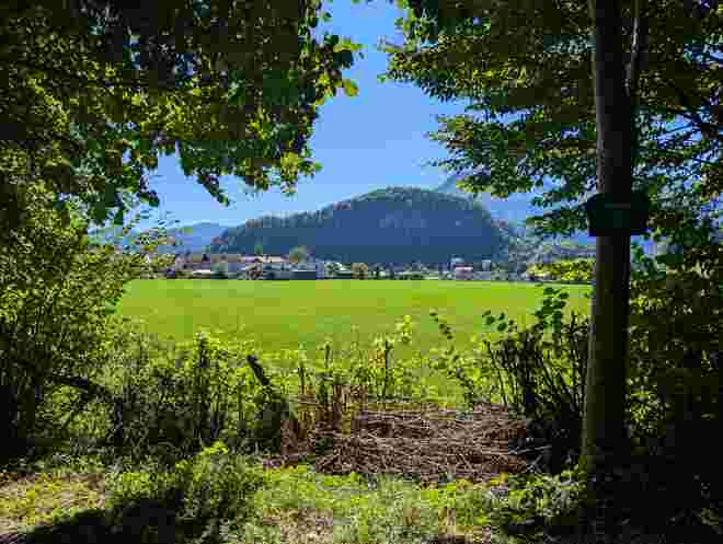 In der alten Heimat 