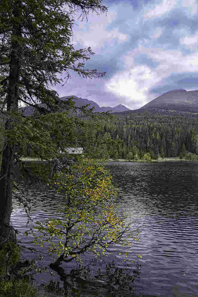 Prebersee