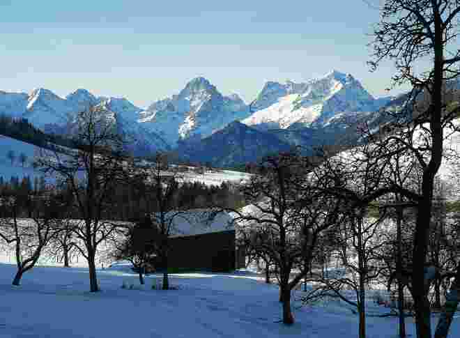 . . . ein hocherfreulicher Sonntag
