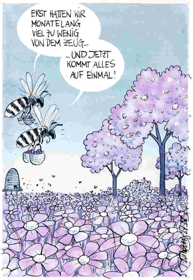Probleme bei der Immstoffbeschaffung  . .  .