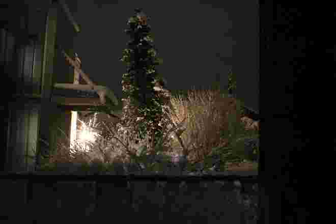 Winterblick