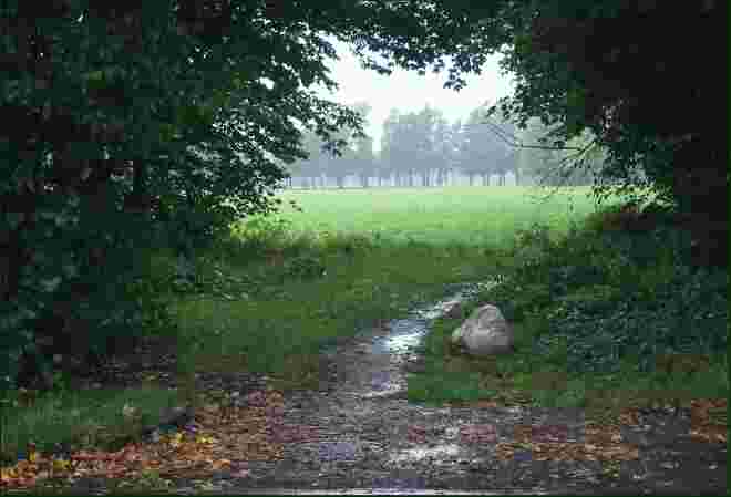 .... vor allem  n a s s  ........ 