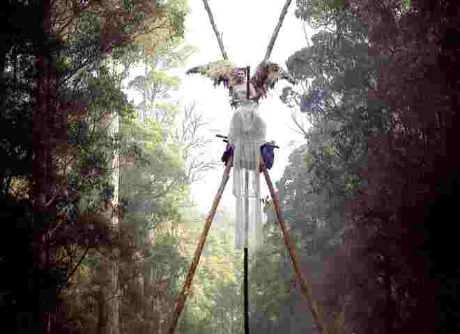Widerstand im Regenwald