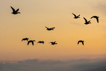 Herbstlicher Rundflug
