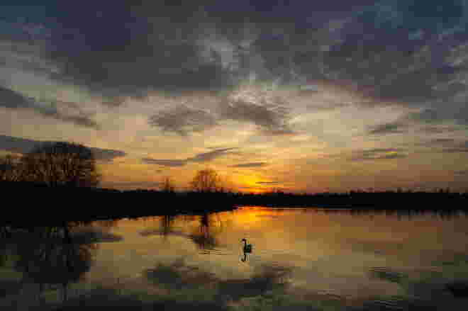 "KLEINER SCHWAN"