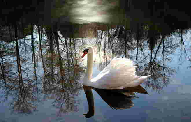 "IN DER MORGENSONNE"