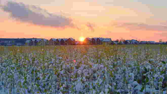 "ZARTE ABENDSONNE"