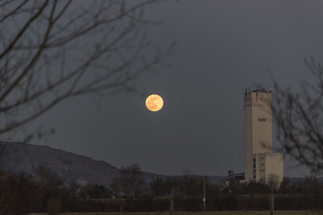 Der Supermond vom 19.02.2019