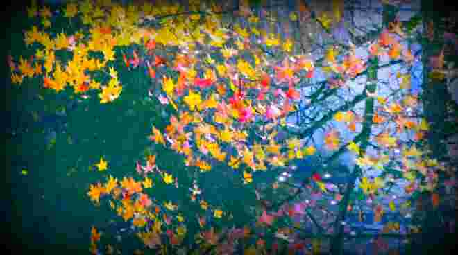 " HERBST IM WASSER "