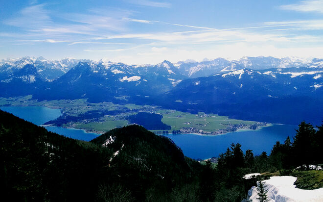 Auf der Schafberg Alpe