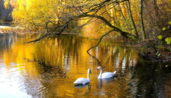 " T'ETE - A- T'ETE "