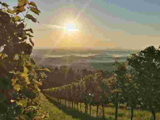 Schilcherland