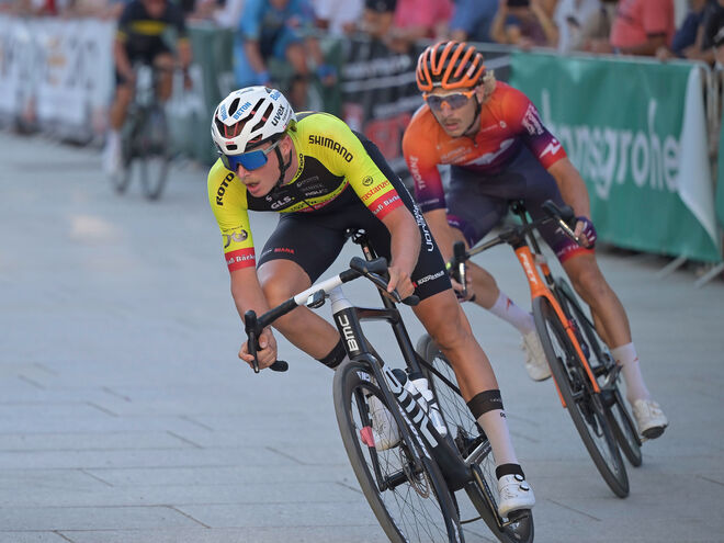 Schnaunzer vs. Schnaunzer.