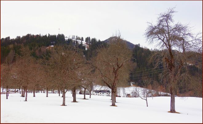 ... stehen noch gut eingekühlt ....