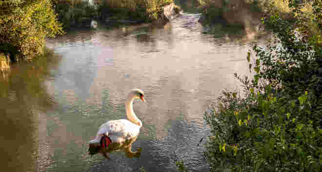 an der Fischach