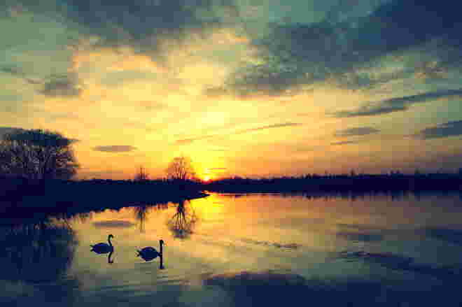 "PAARLAUF IN DER ABENDSONNE II"