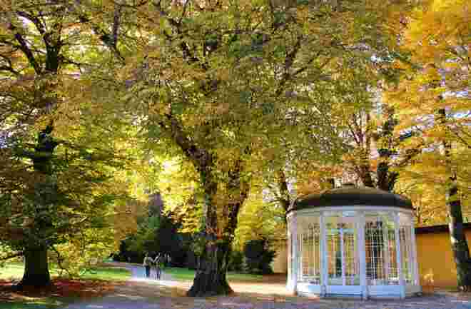 In Goldfarben 