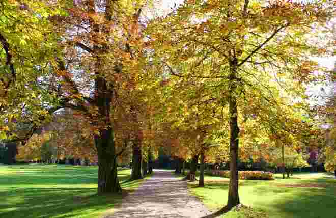 Herbstwanderung 