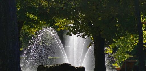 Volksgarten 