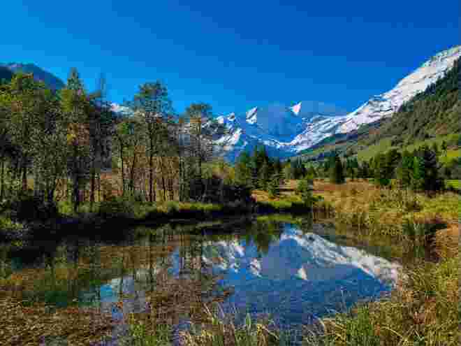Käfertal, Ferleiten