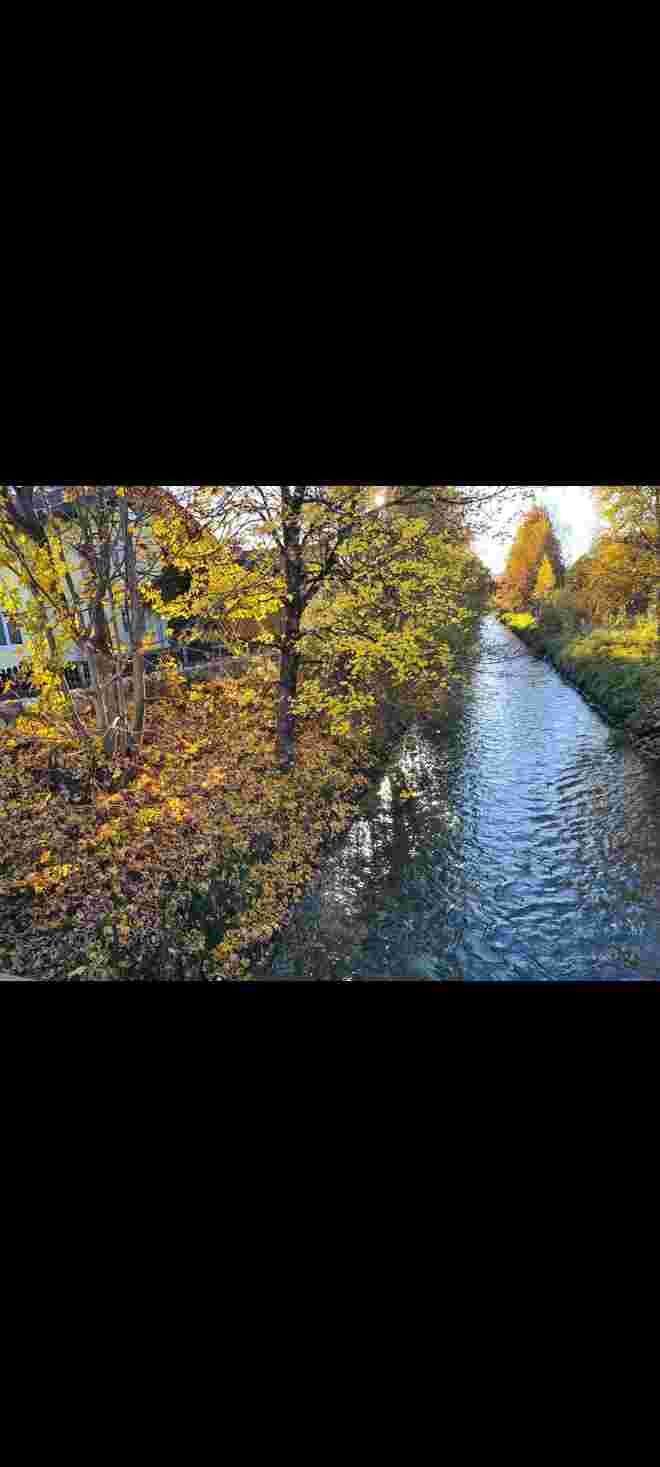 Weicher fließender Herbst 