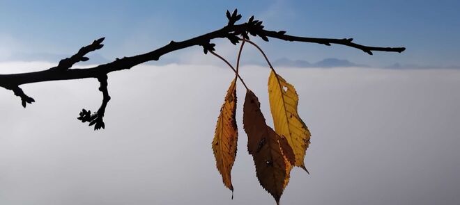 Festhalten mit letzter Kraft