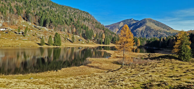 Schöne Herbst Farbe