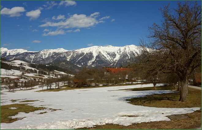 Fleckerlteppich vorm Schneegebirge