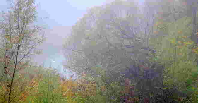 "SILBERREIHER"