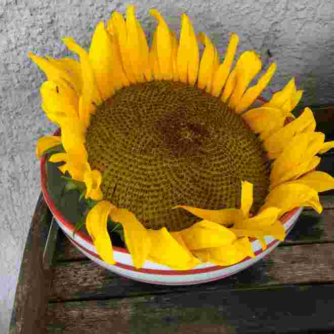 Der Sommer geht zu Ende...