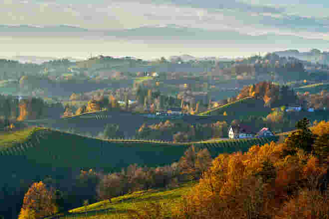 Herbst an der steirischen Weinstraße