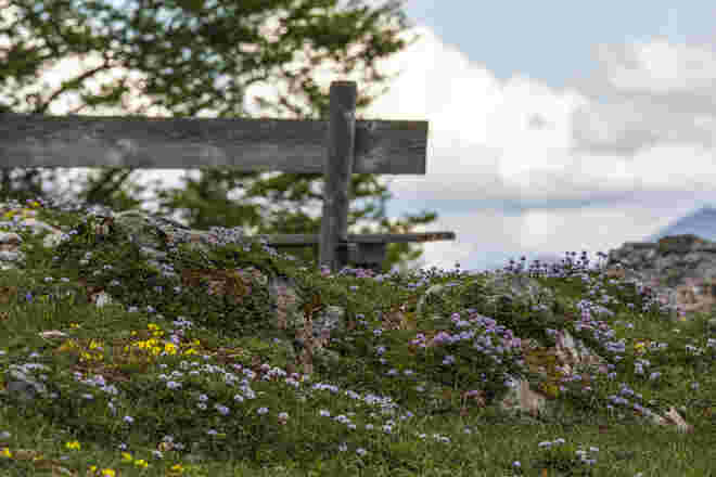 Spitzeck 