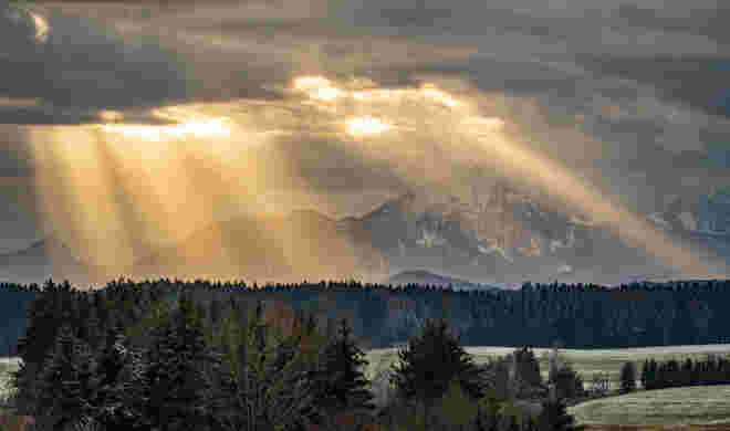 Spotlicht