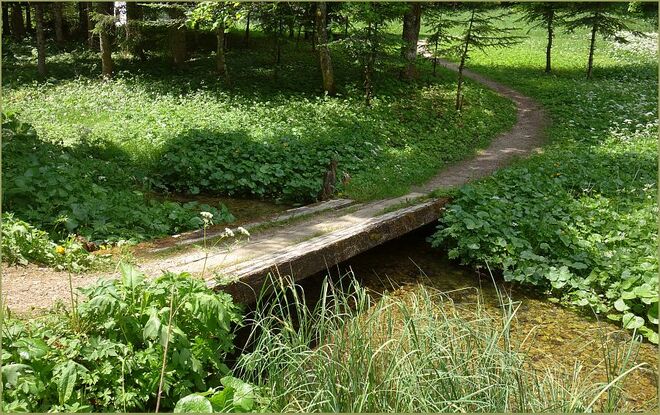 Ein Stück Schafferteichrundweg
