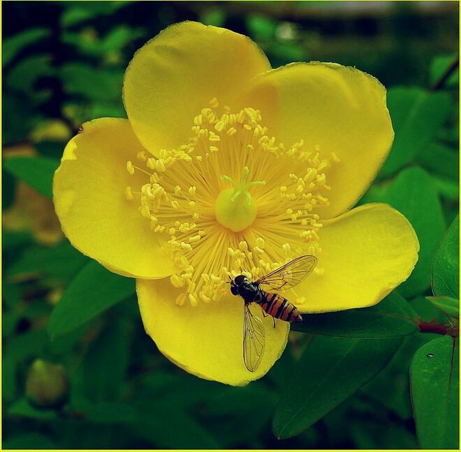 . . . ein herrlich gedeckter Tisch . . . 