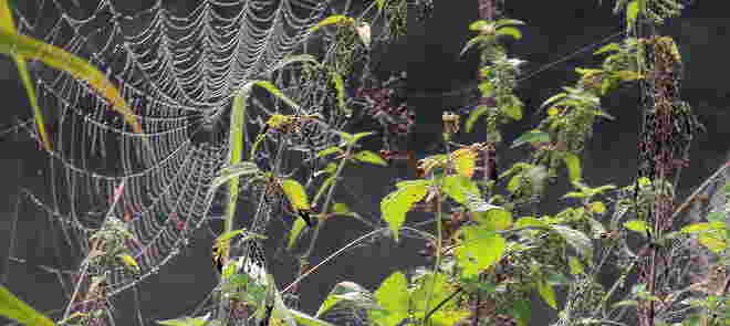 "TYPISCH HERBST"