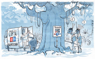 Temperaturregeln im Regenwald…