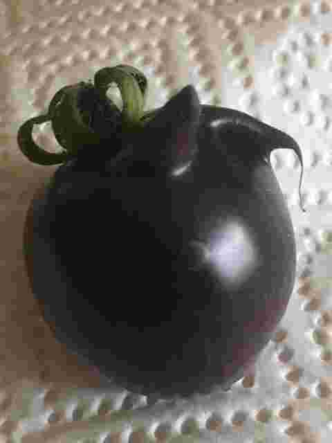 Tomaten-Teufelchen