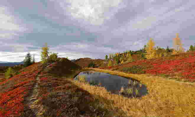Herbst-Idylle II