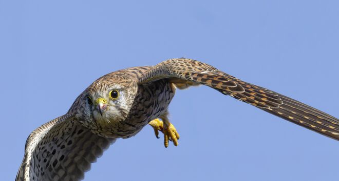 Ein fast Zusammenstoß