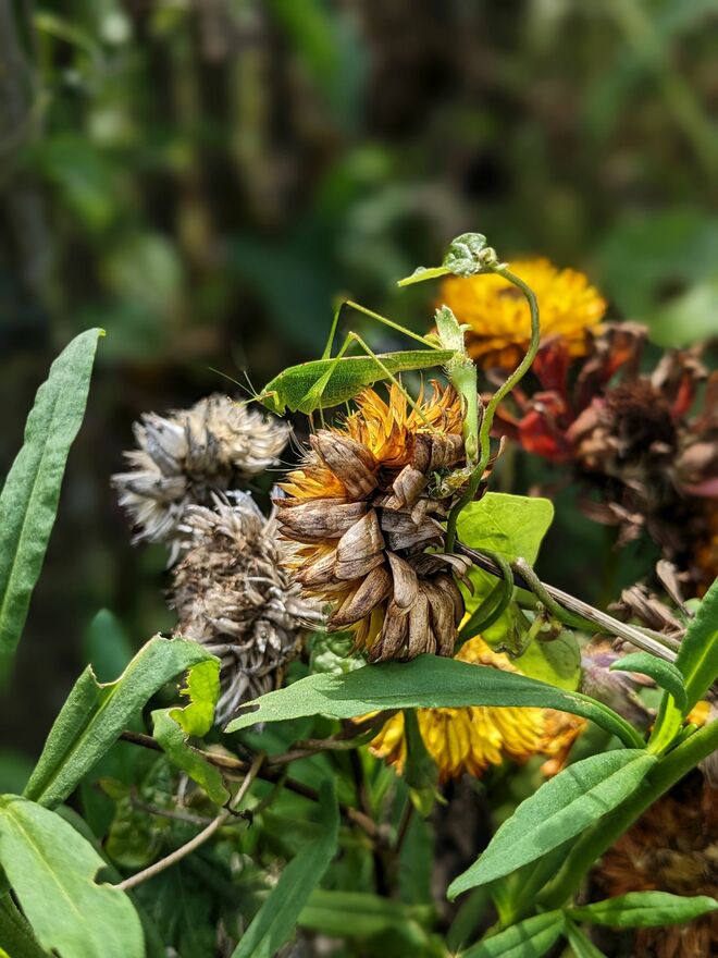 Turner am späten Nachmittag . . .