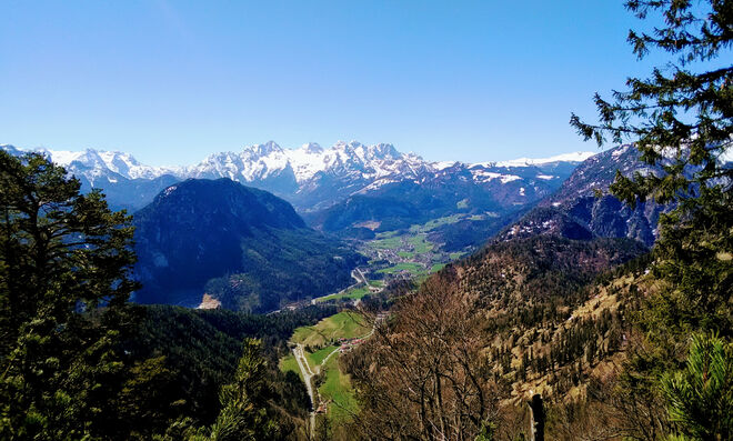 Unken mit Loferer Steinbergen