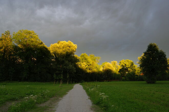 " VOR DEM GEWITTER "
