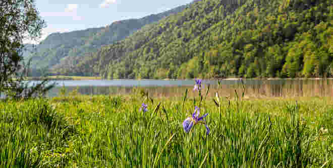 Vordersee