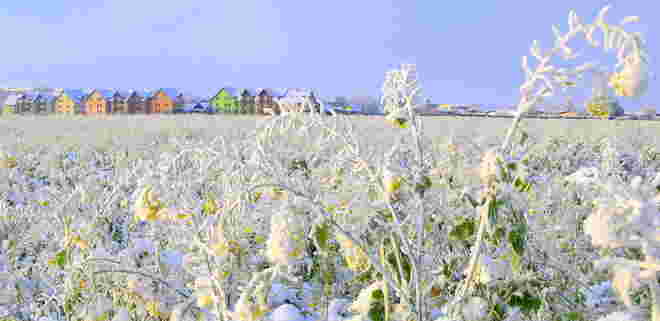 "WINTERSTIMMUNG" 