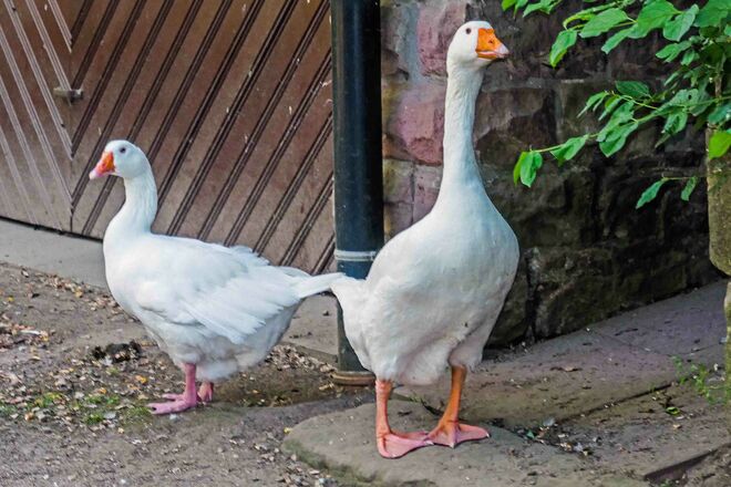 Wir sind stolz und zufrieden