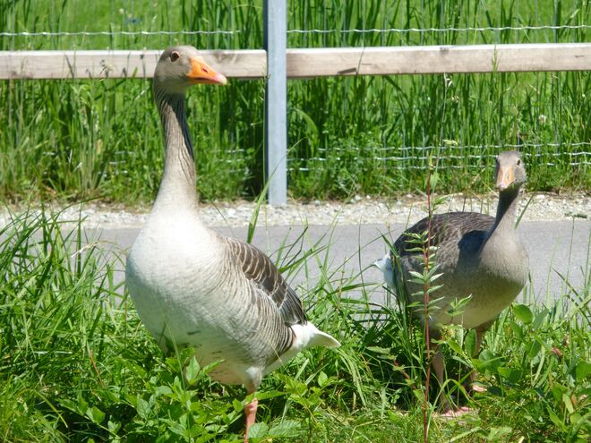 We are watching you!