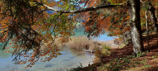 Rund um denFuschlsee