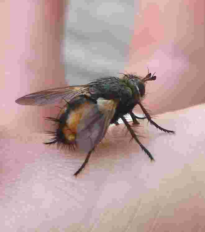 Flieger gelandet 